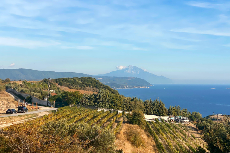 Saloniki: Halkidiki, Arnaia, Ierissos - pływanie i degustacja