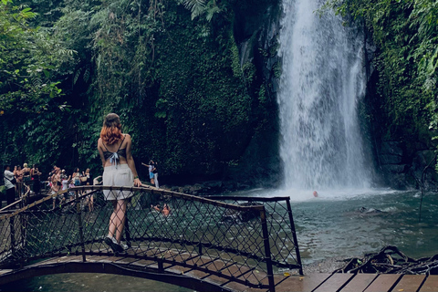 Ubud : Sacred Monkey Forest, Waterfall, Temple & Swing Tour Full-Day Tour Without Entry Fees