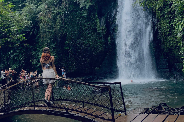 Ubud : Sacred Monkey Forest, Waterfall, Temple & Swing Tour Full-Day Tour Without Entry Fees