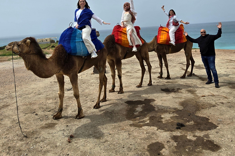 Tour particular em Tânger: Exploração e aventura em um passeio de camelo