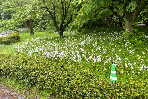 Tokyo: Imperial Palace, Edo Castle and Historical Tour