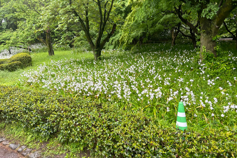 Tokyo: Imperial Palace, Edo Castle and Historical Tour