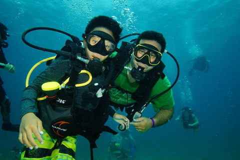 CANCUN: 2T REEF DIVES FOR CERTIFIED DIVERS