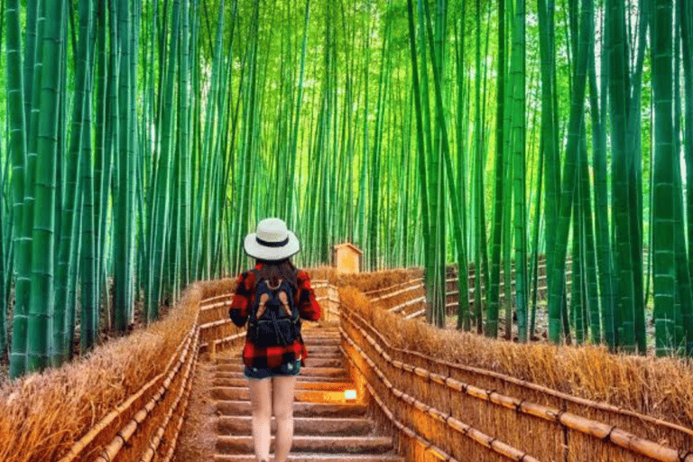 Kyoto Full Day Customizable Private Tour with English Guide