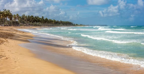 Punta Cana: Hidden Cenote and Buggy trails Adventure