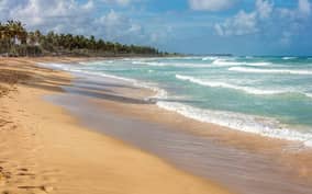  - Canarie.it