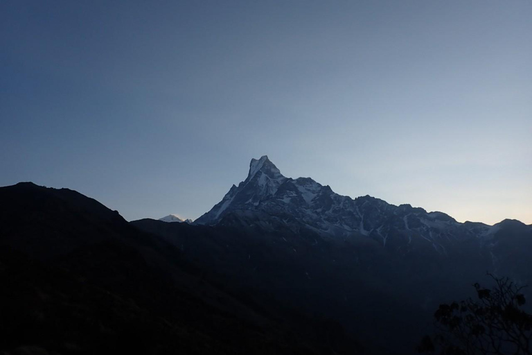 Pokhara : trek de 4 jours au Mardi Himal avec guide et hébergementPokhara : Trek de 4 jours au Mardi Himal avec guide et hébergement