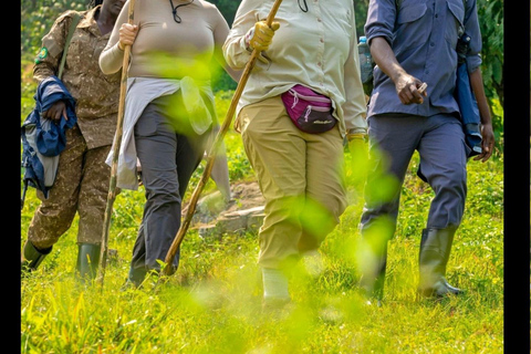 THREE (3) DAYS UGANDA GORILLA SAFARI WITH LAKE BUNYONYI.