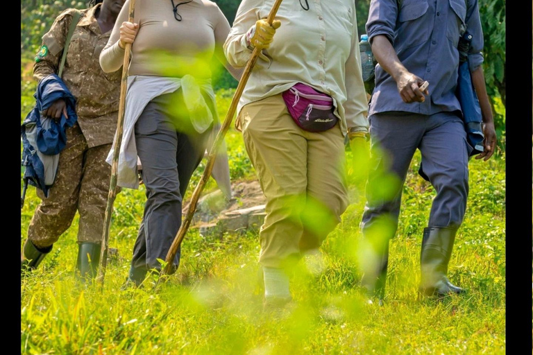 THREE (3) DAYS UGANDA GORILLA SAFARI WITH LAKE BUNYONYI.