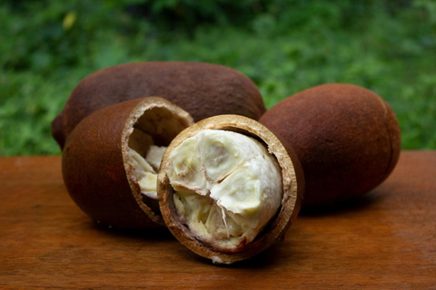 Manaus: Amazonian Food Tour with Local Guide