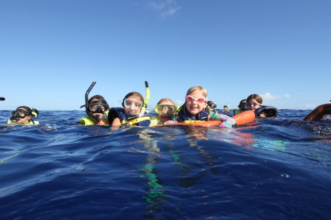 Honolulu : Dolphin Adventure Speedboat Snorkel 3 heures de plongée avec tuba7h30 - 10h30 Visite matinale avec transport