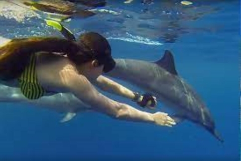 Atolón de Mnemba, excursión con delfines y snorkel