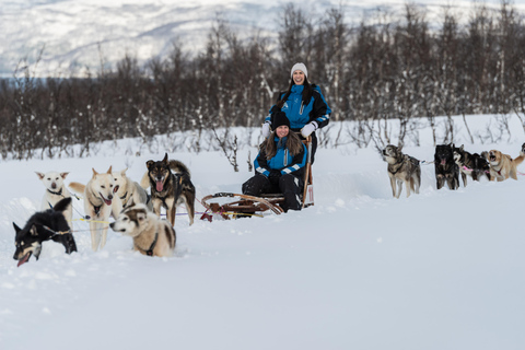 Tromsø: Easy Dog Sledding Tour & Kennel Visit