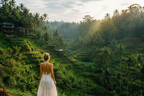 Ubud : Waterfalls, Tegalalang Rice Teracces, Bali Swing Tur Private Tour With Entry Ticket