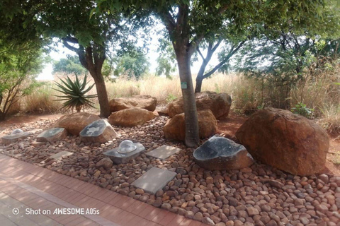 Johannesburg: Cradle of Humankind, Lion Park & Lesedi Tour