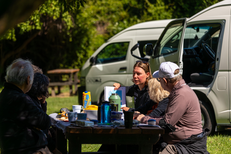 Lyttelton: Akaroa including The Giants House Shore Excursion Small Group Shore Excursion: Akaroa, from Lyttelton