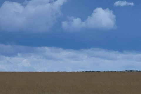 Tour di gruppo di 3 giorni nel Masai Mara