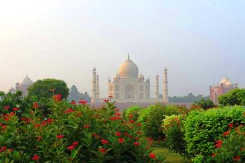 "Golden Hour at the Taj: A Sunrise Delight in Agra From Delhi: Taj Mahal Sunrise and Agra Fort Private Tour