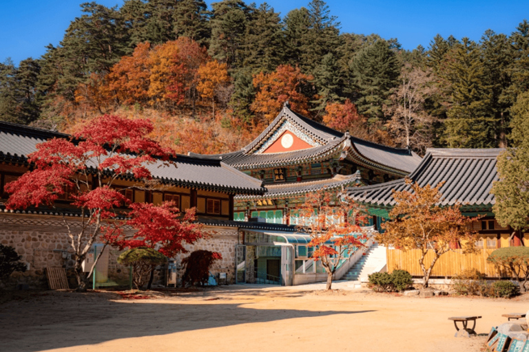 Excursion d&#039;une journée à Balwangsan : sentiers forestiers et vues panoramiques sur les hauts plateauxShinsegae Duty Free (Myeongdong)