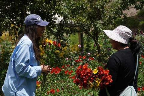 La Paz Flowers Valley Tour: ATV & Community Experience