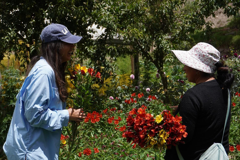 La Paz Flowers Valley Tour: ATV & Community Experience