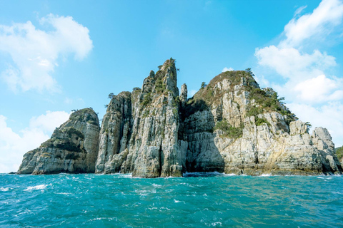 Geoje Cable Car and Oedo Botania Day Tour from Busan