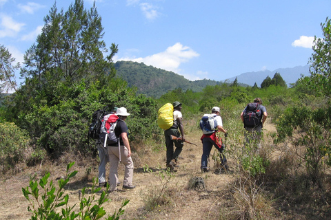 3-Day Safari & Kilimanjaro Adventure: Tarangire, Ngorongoro