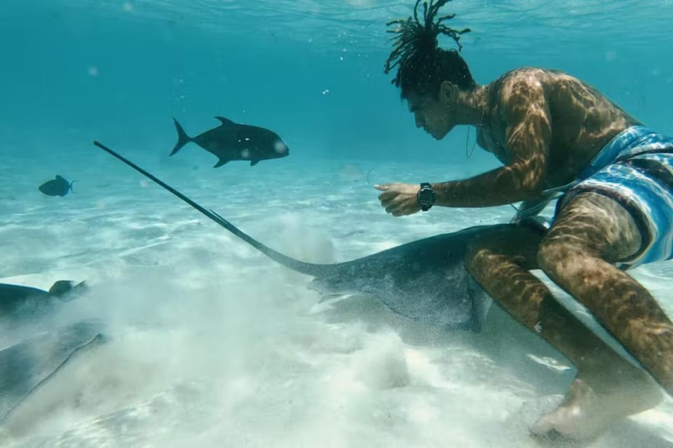A snorkeller crouches on the pale sand floor of a shallow lagoon beside a stingray, with one large and one small fish in the clear turquoise water