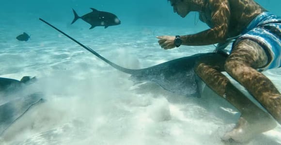 Moorea: Glass Bottom Boat Adventure with Lagoon Wonders