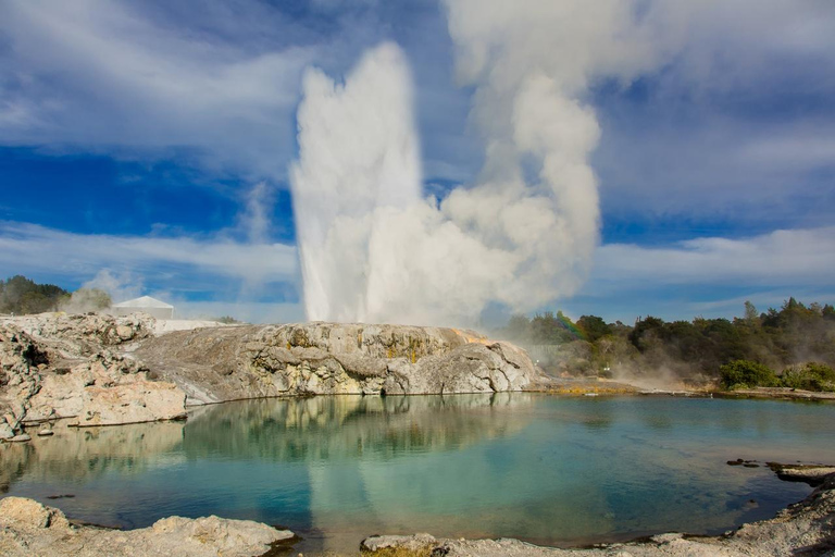 From Auckland:Rotorua Day Trip with Te Puia & Polynesian Spa