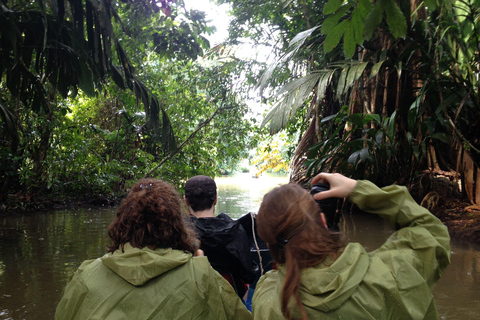 Tortuguero: Tour in canoa e avvistamento della fauna selvatica