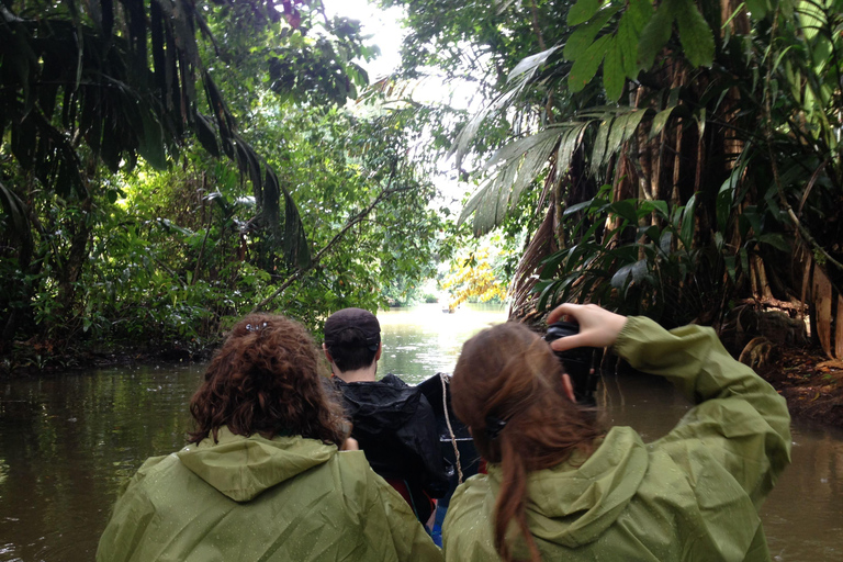 Tortuguero: Excursión en canoa y avistamiento de fauna