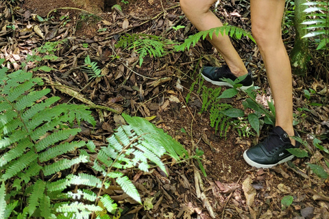 Iguazu Extreme Day: Sunrise, São João Trail & Macuco Safari