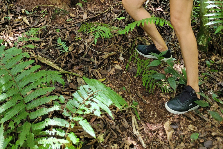 Iguazu Extreme Day: Sunrise, São João Trail & Macuco Safari