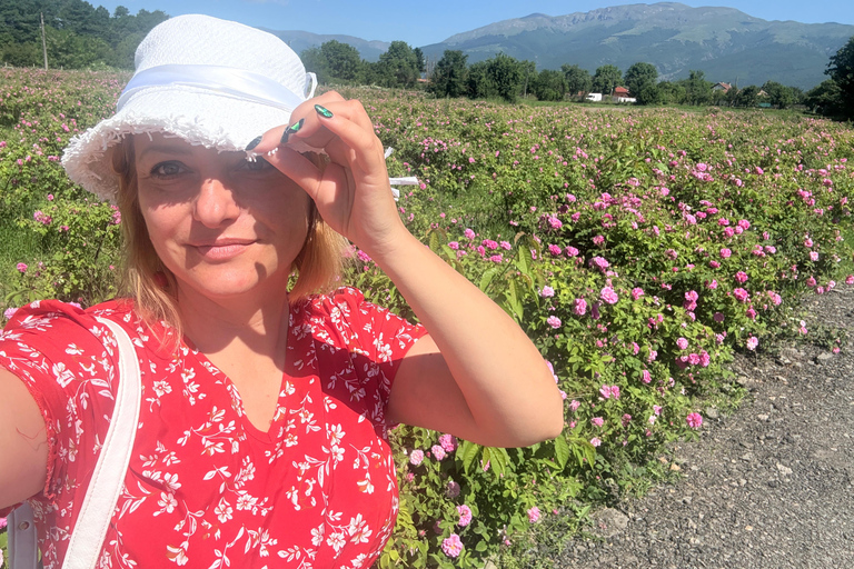 From Plovdiv: Rose Valley & Thracian Kings’ Tombs Day Trip