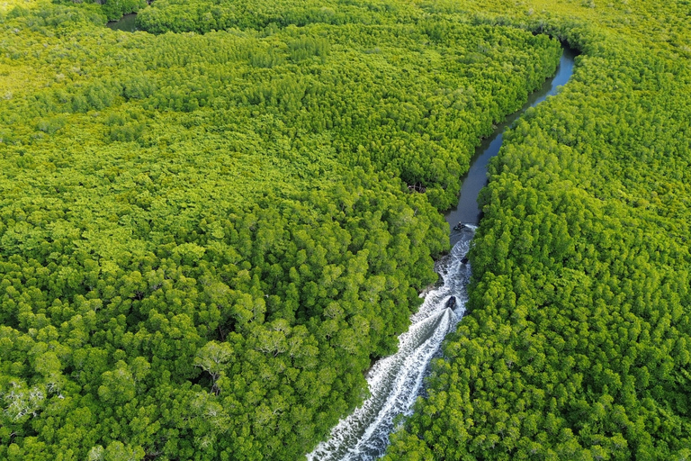 Cairns: 1-Hour Croc Spotting Jet Ski Tour Cairns: 1-Hour Croc Spotting Jet Ski Tour (Solo)