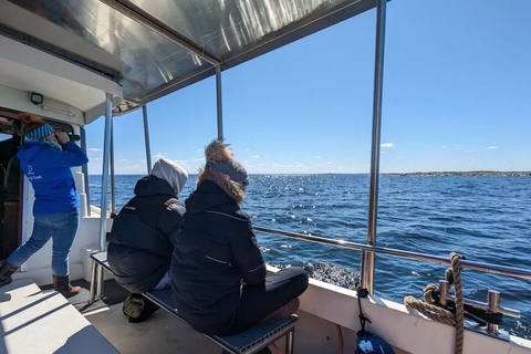 Estonia: Malusi Islands Seal-Watching Boat Trip