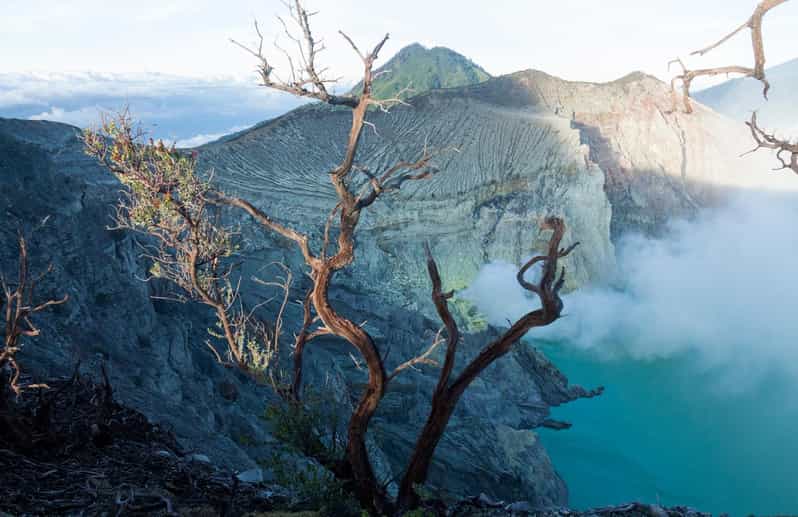 Mount Java Blue Fire Mount Ijen Tour from Bali:Experience the majestic blue fire | GetYourGuide