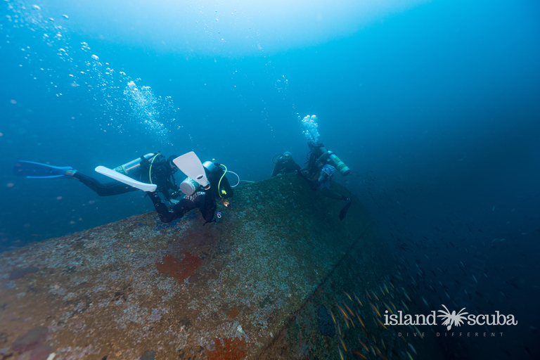 Colombo: Shipwreck Diving Experience within the city