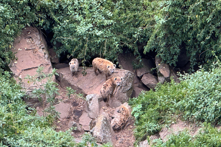 Blue Nile Gorge Wildlife & Cultural Day Trip