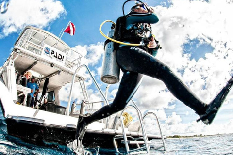 Side : Scuba Diving with Lunch & Hotel Transfer Side/Manavgat : Scuba Diving with Lunch & Hotel Transfer