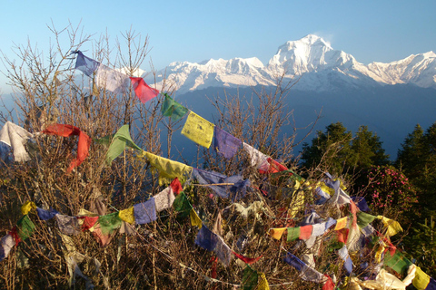 Ghorepani poon hill trek