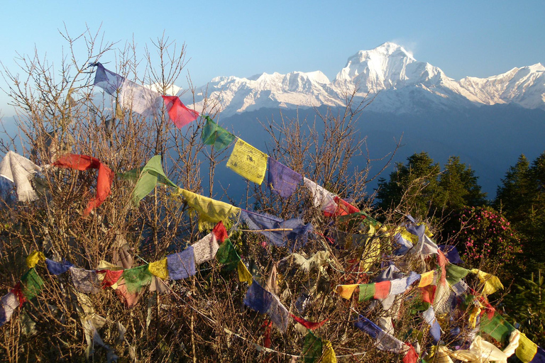 Ghorepani poon hill trek