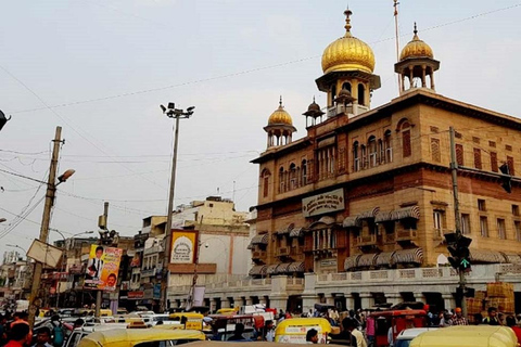 Da Delhi: Tour privato dei templi e dei siti spirituali di Delhi