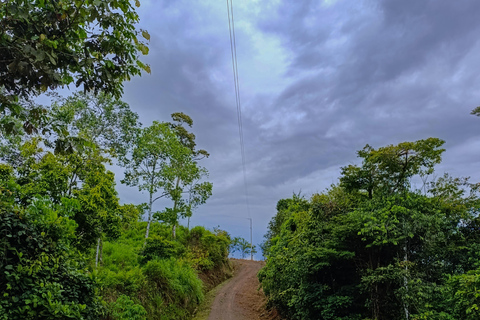 Santa Rosa de Osa: Trekking Tour Santa Rosa, San Martin & Miramar
