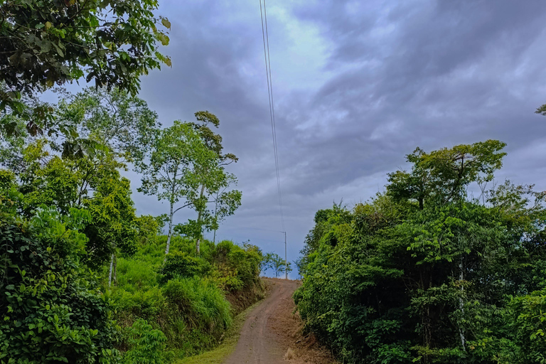 Santa Rosa de Osa: Trekking Tour Santa Rosa, San Martin & Miramar