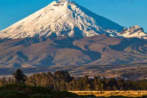 Quito: Private Cotopaxi National Park & Pasochoa Wildlife