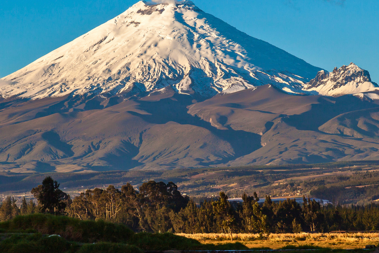 Quito: Private Cotopaxi National Park & Pasochoa Wildlife