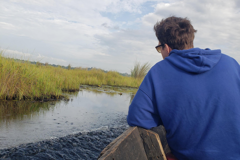 Mabamba swamp bird tours and shoebill trekking