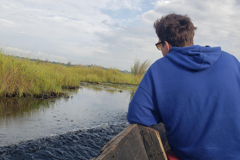 Mabamba swamp bird tours and shoebill trekking